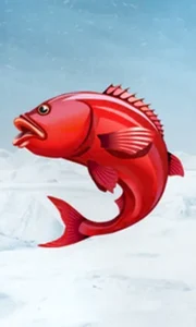 Ice Fishing